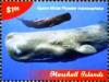 Colnect-6219-114-Sperm-whale.jpg