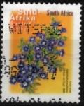 Colnect-3982-134-Karoo-Violet.jpg