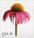 Colnect-887-794-Coneflower.jpg