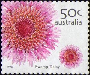 Colnect-438-714-Swamp-Daisy.jpg