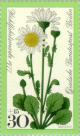 Colnect-155-354-Oxeye-daisy.jpg