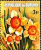 Colnect-4740-104-Narcissus-sp.jpg
