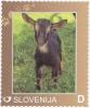 Colnect-2374-699-Goat.jpg