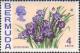 Colnect-2073-052-Bermudiana.jpg