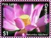 Colnect-5983-053-Pink-lotus.jpg