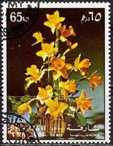Colnect-1270-653-Daffodils.jpg
