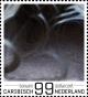 Colnect-4344-755-Dirk-Kuijt.jpg