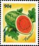 Colnect-4411-456-Watermelon.jpg