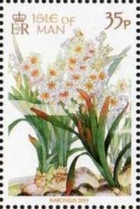 Colnect-3382-159-Daffodils.jpg