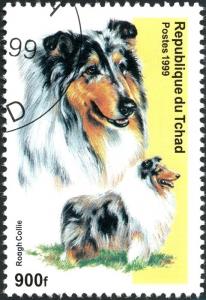 Colnect-3533-375-Rough-Collie.jpg