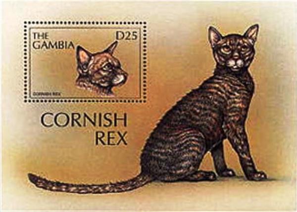 Colnect-4725-285-Cornish-Rex.jpg