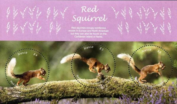 Colnect-5164-965-Red-squirrel.jpg