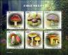 Colnect-6434-160-Mushrooms.jpg