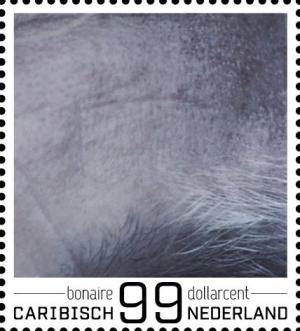 Colnect-4344-760-Dirk-Kuijt.jpg