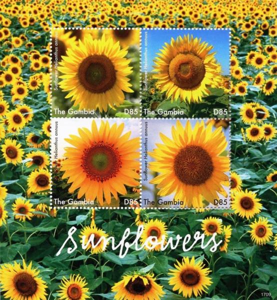 Colnect-4777-560-Sunflowers.jpg