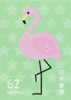Colnect-5639-613-Flamingo.jpg