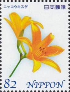 Colnect-4116-610-Daylily.jpg