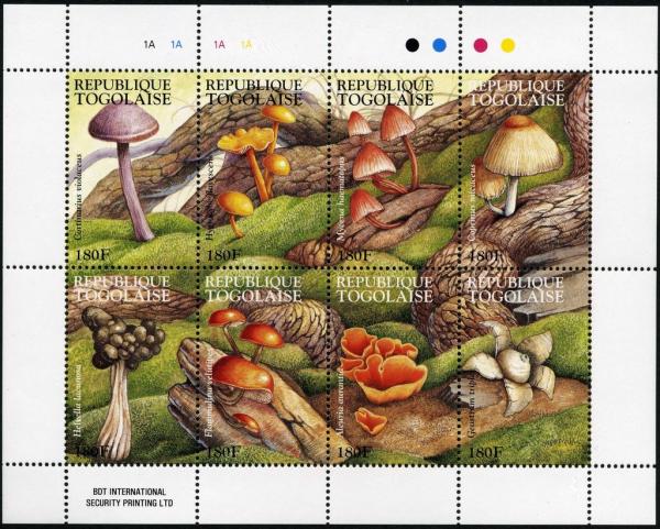 Colnect-3237-863-Mushrooms.jpg