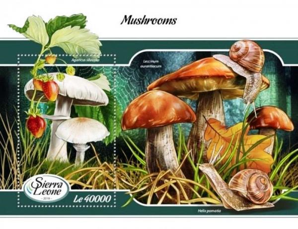 Colnect-4882-563-Mushrooms.jpg