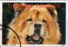 Colnect-4184-465-Chow-Chow.jpg