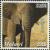Colnect-5795-665-Elephants.jpg