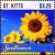 Colnect-6314-365-Sunflowers.jpg
