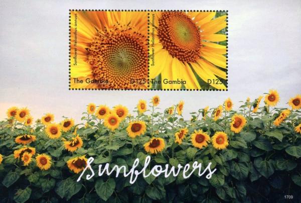 Colnect-4777-565-Sunflowers.jpg