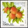 Colnect-1241-663-Apricots.jpg