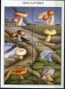 Colnect-6064-066-Mushrooms.jpg