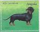 Colnect-5254-466-Dachshund.jpg