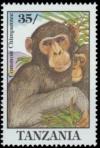 Colnect-4729-568-Chimpanzee.jpg