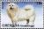 Colnect-4373-689-Samoyed.jpg