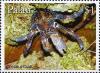 Colnect-5866-586-Coconut-crab.jpg