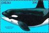 Colnect-5920-336-Orcinus-orca.jpg