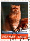 Colnect-4021-326-Persian-cat.jpg