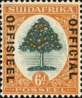 Colnect-4184-976-Orange-Tree.jpg