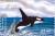 Colnect-3483-426-Killer-whale.jpg