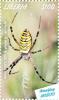Colnect-5727-006-Wasp-Spider.jpg