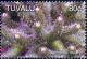 Colnect-5027-006-Marine-Life.jpg