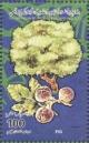 Colnect-5476-501-Figs.jpg