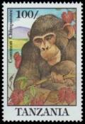 Colnect-4729-570-Chimpanzee.jpg