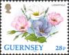 Colnect-5564-772-Lisianthus.jpg