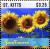 Colnect-6314-372-Sunflowers.jpg
