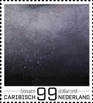 Colnect-4344-775-Dirk-Kuijt.jpg
