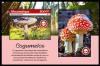 Colnect-5995-777-Mushrooms.jpg