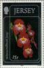 Colnect-127-784-Orchids.jpg