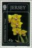 Colnect-127-788-Orchids.jpg