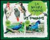 Colnect-6021-791-Turacos.jpg