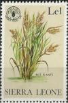 Colnect-2387-817-Rice-plants.jpg