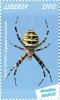 Colnect-5727-007-Wasp-Spider.jpg